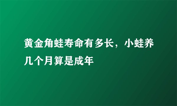 黄金角蛙寿命有多长，小蛙养几个月算是成年