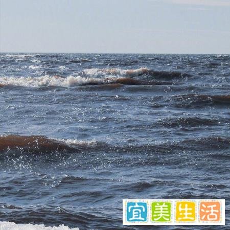 十二星座中,堪称完美的三个星座