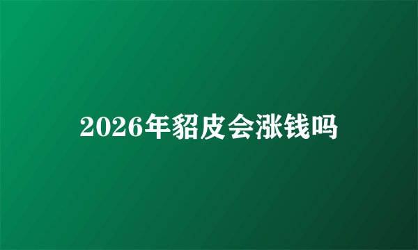 2026年貂皮会涨钱吗