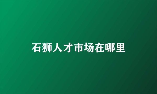 石狮人才市场在哪里