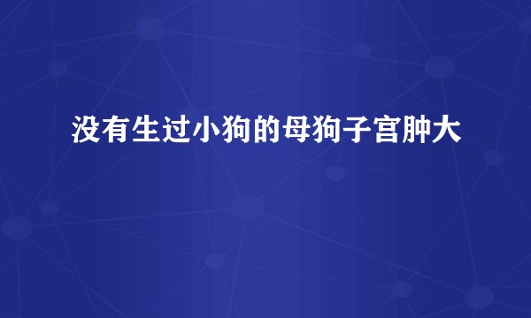 没有生过小狗的母狗子宫肿大