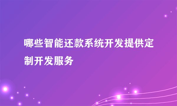 哪些智能还款系统开发提供定制开发服务