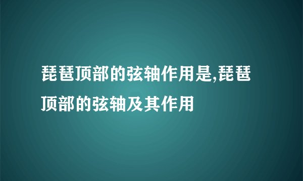 琵琶顶部的弦轴作用是,琵琶顶部的弦轴及其作用