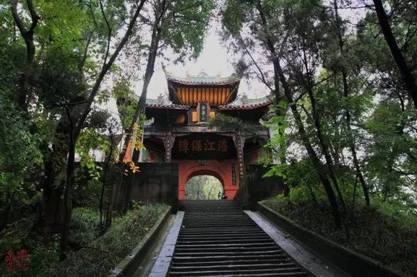 唐福珍的官方资料
