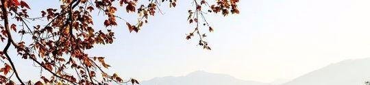 北京到黄山旅游攻略