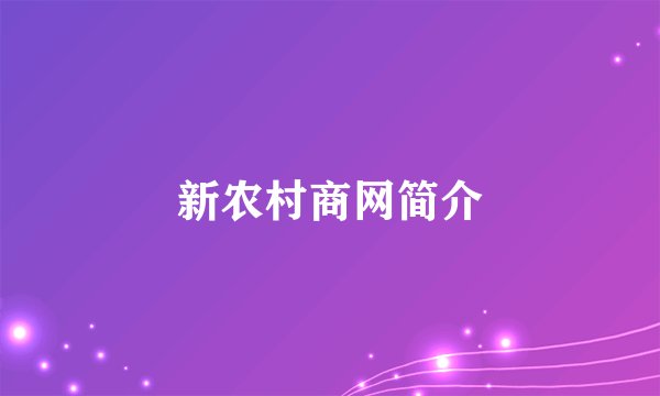 新农村商网简介