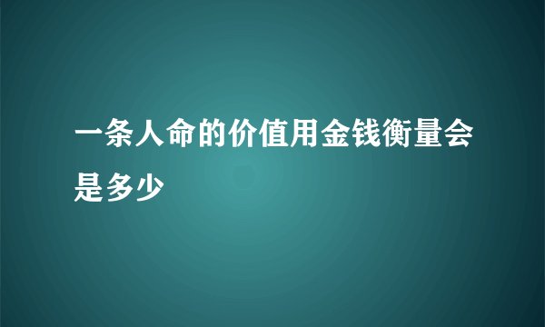 一条人命的价值用金钱衡量会是多少