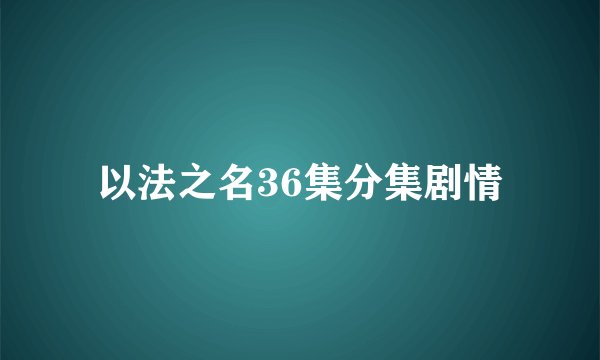 以法之名36集分集剧情