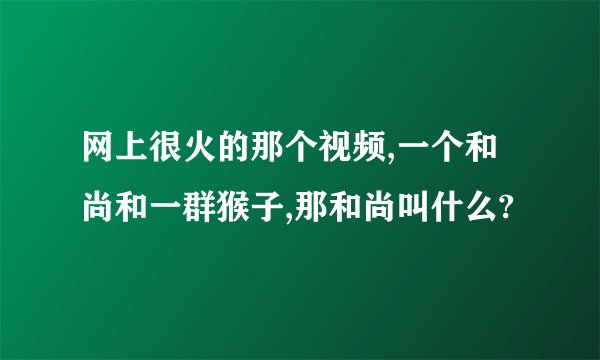网上很火的那个视频,一个和尚和一群猴子,那和尚叫什么?