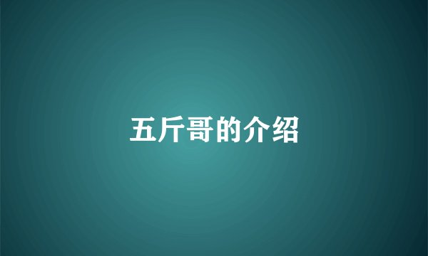 五斤哥的介绍