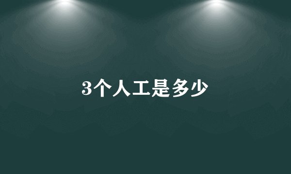 3个人工是多少