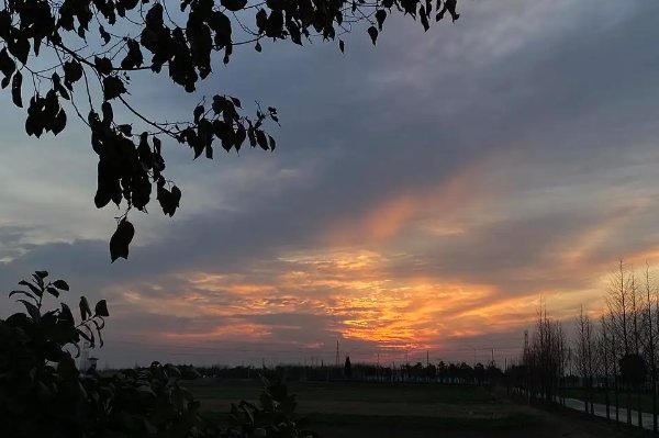 晡是什么意思