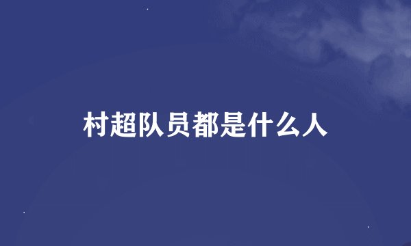 村超队员都是什么人