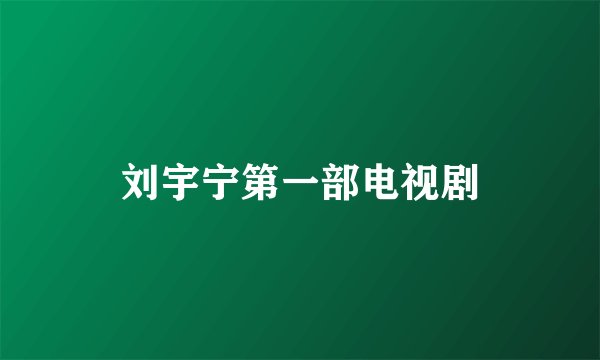 刘宇宁第一部电视剧