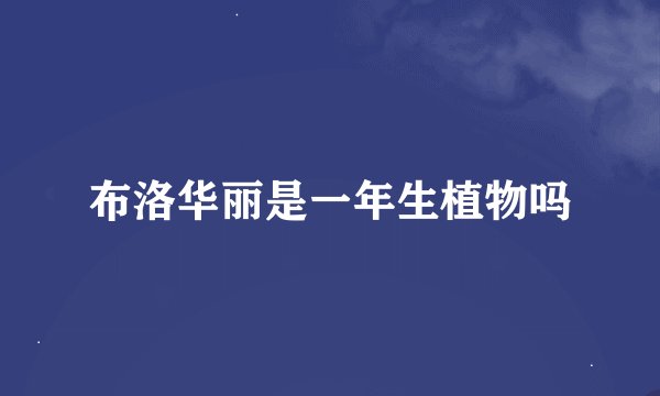 布洛华丽是一年生植物吗