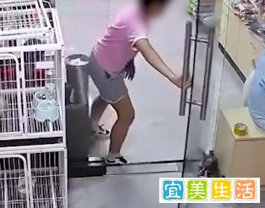 无心之失!女孩宠物店内推门夹死小猫,不堪网络暴力被迫入院