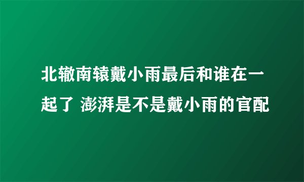 北辙南辕戴小雨最后和谁在一起了 澎湃是不是戴小雨的官配