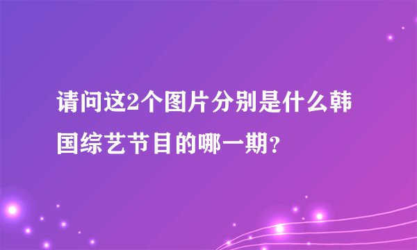 请问这2个图片分别是什么韩国综艺节目的哪一期？