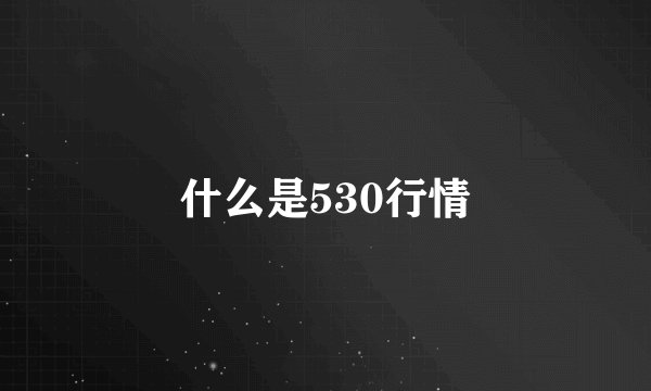 什么是530行情