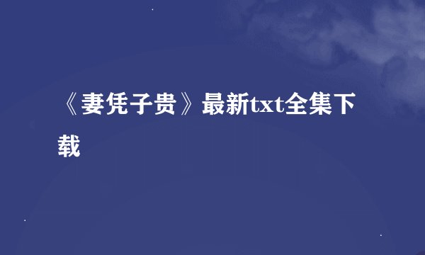 《妻凭子贵》最新txt全集下载