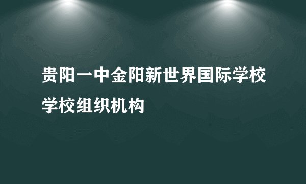 贵阳一中金阳新世界国际学校学校组织机构