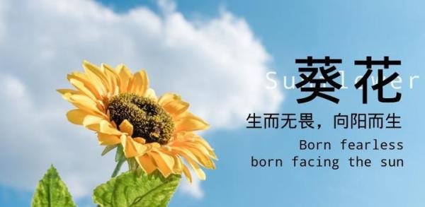 快手娱乐直播赚钱吗