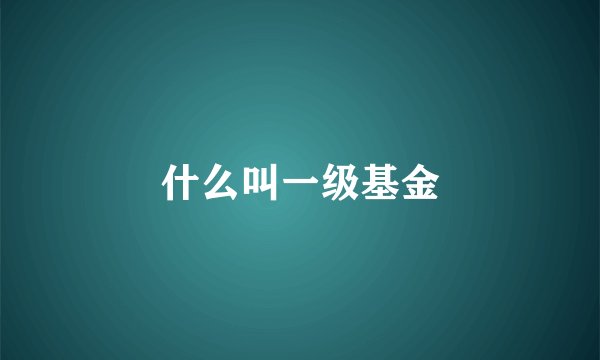 什么叫一级基金