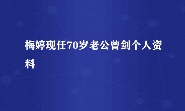 梅婷现任70岁老公曾剑个人资料