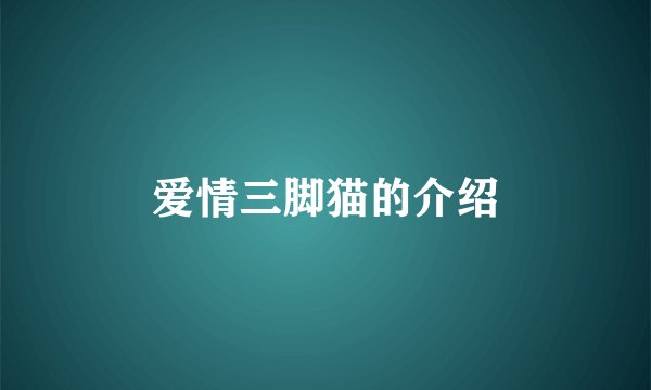 爱情三脚猫的介绍