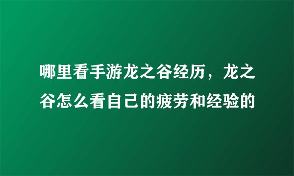 哪里看手游龙之谷经历,龙之谷怎么看自己的疲劳和经验的