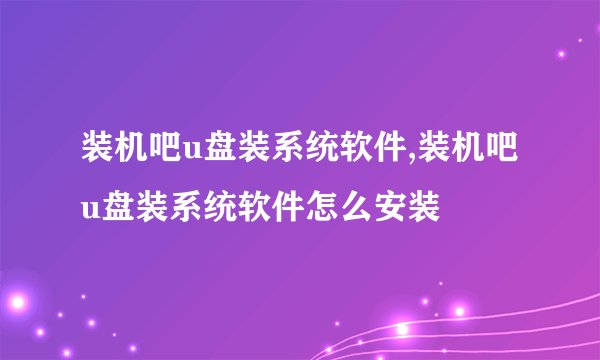 装机吧u盘装系统软件,装机吧u盘装系统软件怎么安装