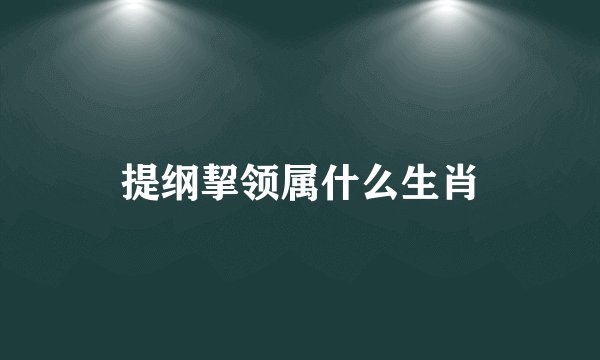 提纲挈领属什么生肖