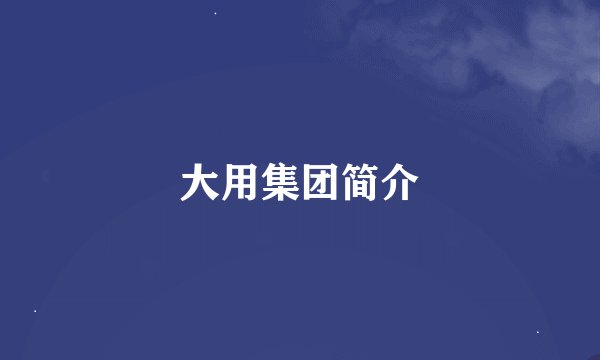 大用集团简介
