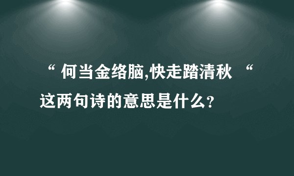 “ 何当金络脑,快走踏清秋 “ 这两句诗的意思是什么？