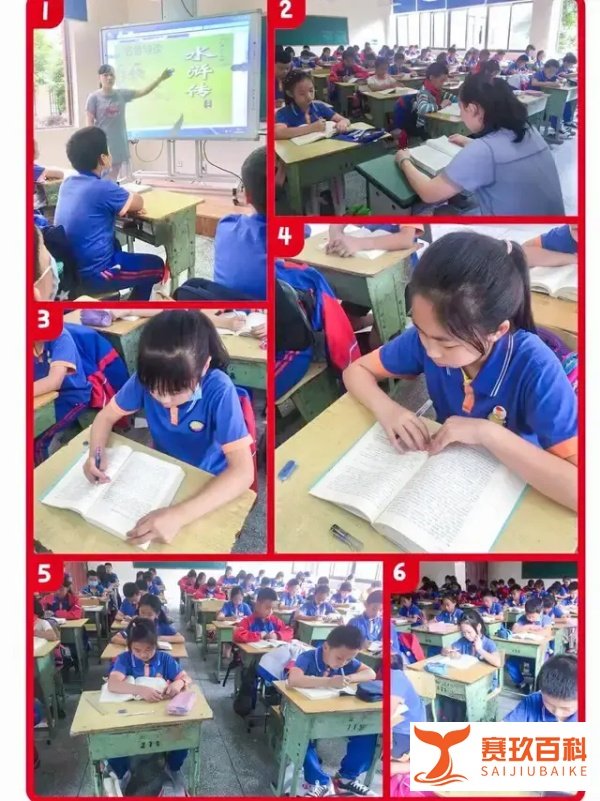成都市双流区金桥小学——阅读悦美 共浴书香