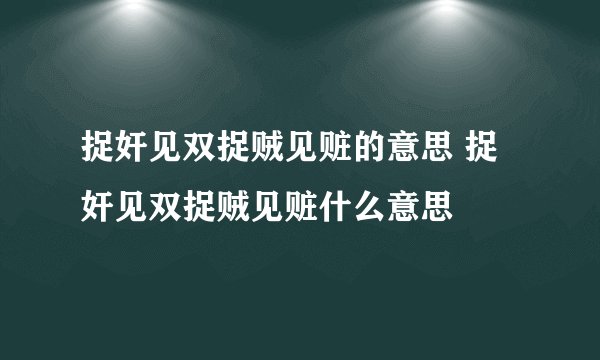 捉奸见双捉贼见赃的意思 捉奸见双捉贼见赃什么意思