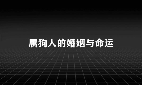 属狗人的婚姻与命运