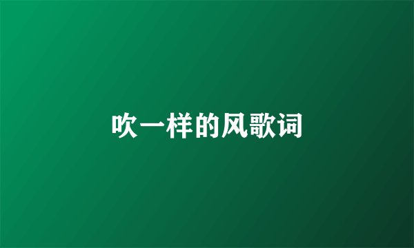 吹一样的风歌词