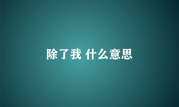 除了我 什么意思