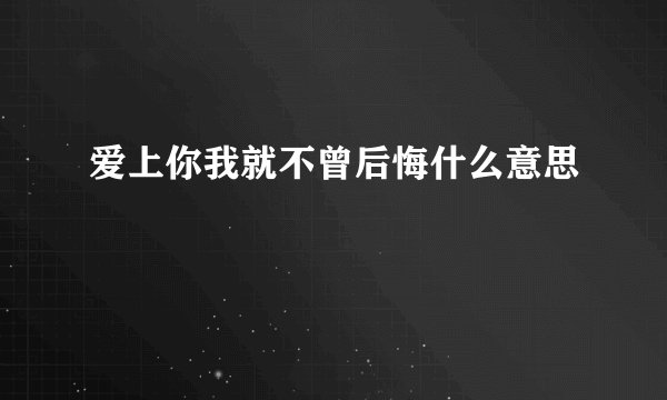 爱上你我就不曾后悔什么意思