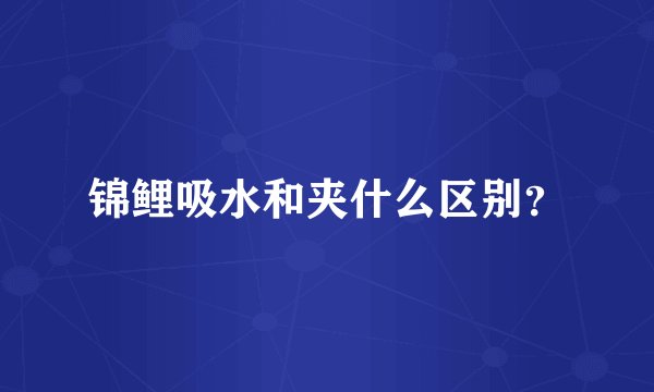 锦鲤吸水和夹什么区别？