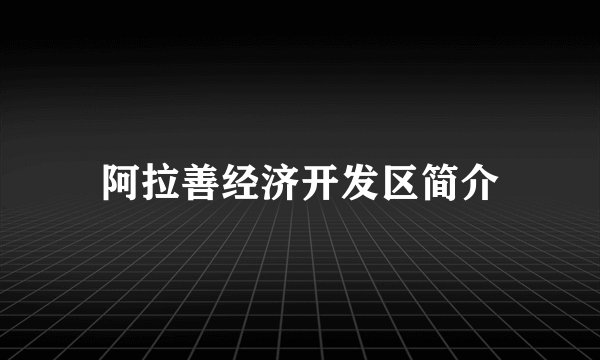 阿拉善经济开发区简介