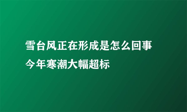 雪台风正在形成是怎么回事 今年寒潮大幅超标