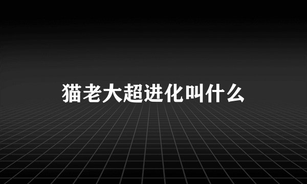 猫老大超进化叫什么