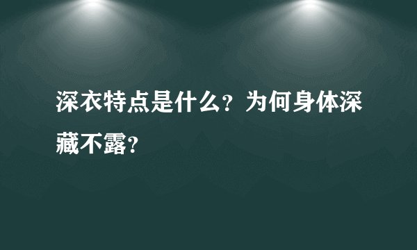深衣特点是什么？为何身体深藏不露？