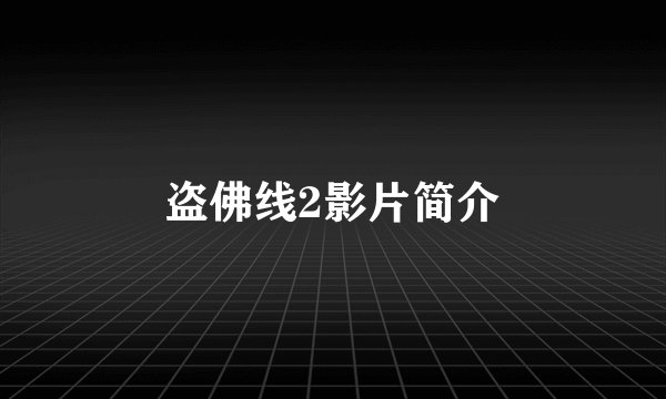 盗佛线2影片简介
