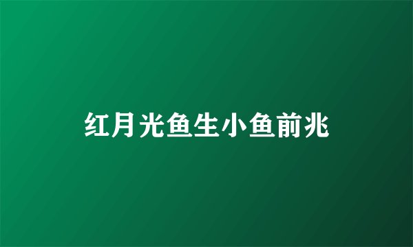 红月光鱼生小鱼前兆