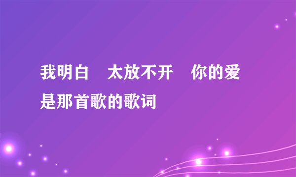 我明白 太放不开 你的爱 是那首歌的歌词