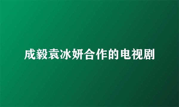 成毅袁冰妍合作的电视剧