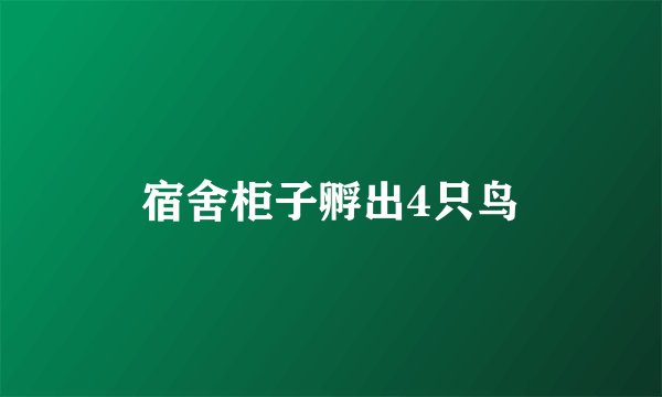 宿舍柜子孵出4只鸟